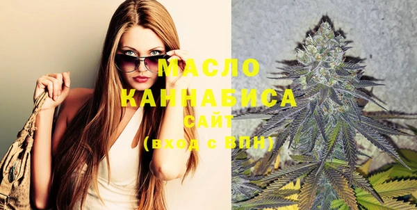 индика Дмитриев