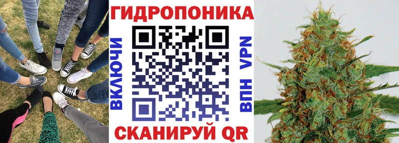 Бошки марихуана Amnesia Меленки
